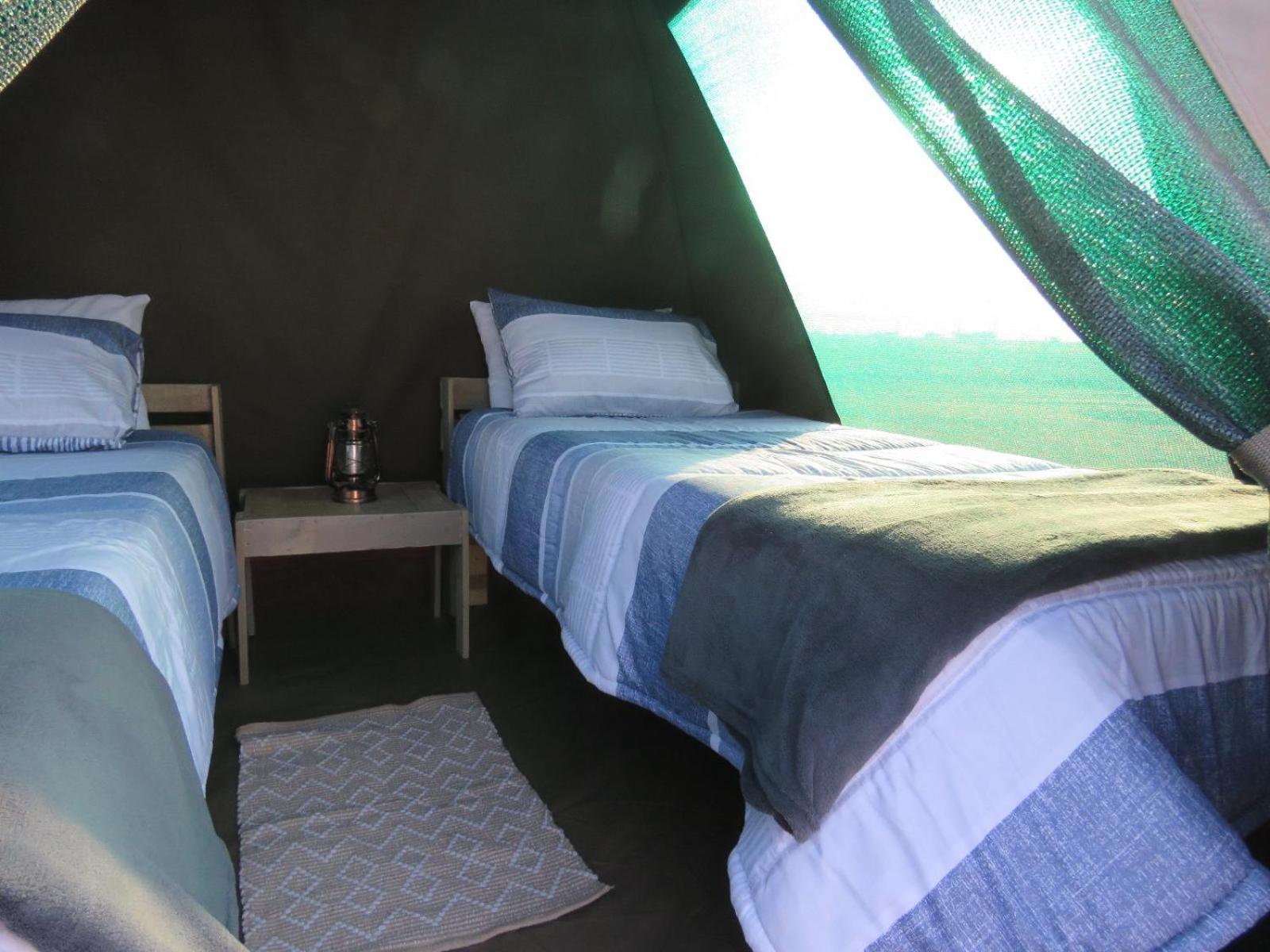 Hotel Tropic Of Capricorn Guest Farm à Rehoboth Chambre photo
