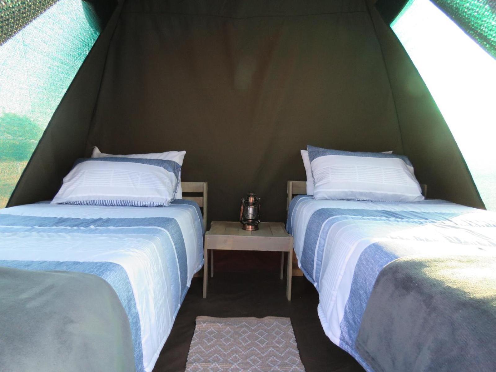 Hotel Tropic Of Capricorn Guest Farm à Rehoboth Chambre photo